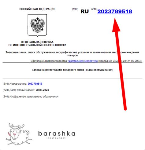 Подготовка и подача заявки на официальную регистрацию вашего товарного знака