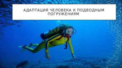 Подготовка к подводным погружениям: оборудование и услуги для безопасного отдыха