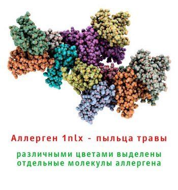 Подготовка к процедуре анализа на выявление аллергенов: важные шаги