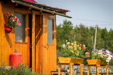 Подготовка мальвы к зиме: важные шаги для сохранения растения