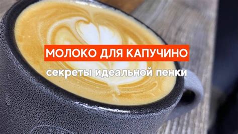 Подготовка молочной основы для получения идеального капучино: ключевые этапы