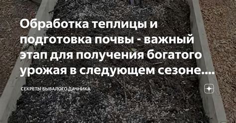 Подготовка почвы: важный этап для успешной адаптации растений