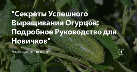 Подготовка почвы для успешного выращивания огурцов: важные этапы