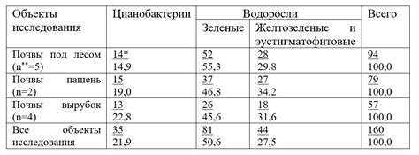 Поддержание биологической активности почвы: неотъемлемая составляющая здоровья растений