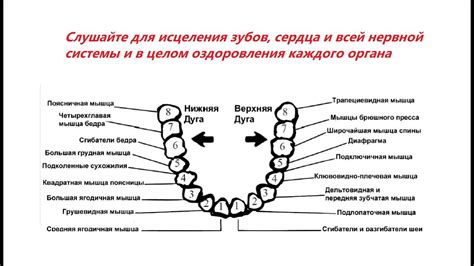 Поддержание здоровья зубов