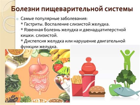 Поддержка работоспособности пищеварительной системы