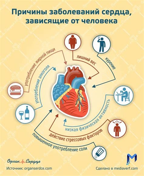 Поддержка сердечно-сосудистой системы и снижение риска сердечно-сосудистых заболеваний