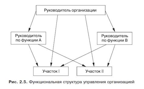 Подразделения и функциональные зоны комплекса