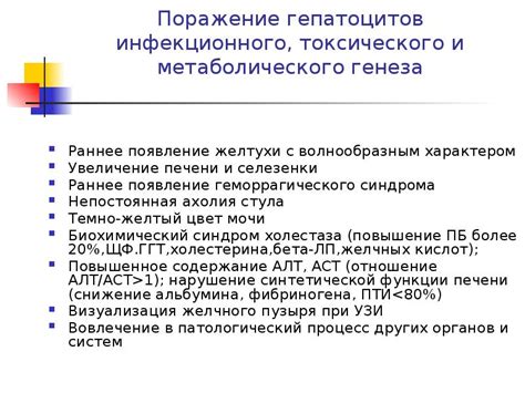 Подробное описание и передача желтухи: основы и принципы