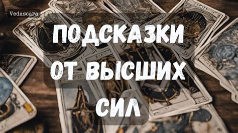 Подсказки от самого главного умника: где отыскать ценные подсказки