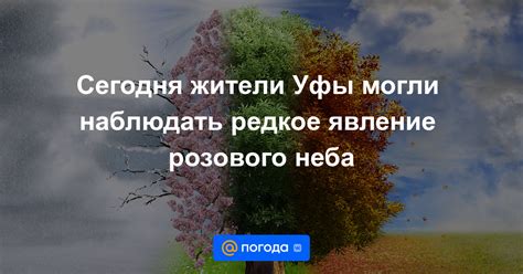 Подсознание раскрывает символику розового неба во сне 