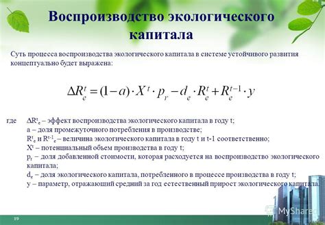 Подтверждение покрытия начального капитала компании: суть процесса