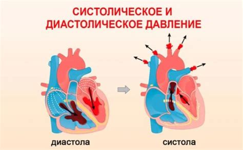 Подходы к предотвращению возникновения и управлению высоким артериальным давлением