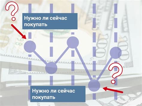 Подходящее время суток для обнаружения пресмыкающихся обитателей