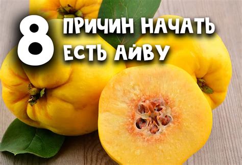 Позитивные отзывы родителей, пробующих включить айву в питание своих однолетних малышей