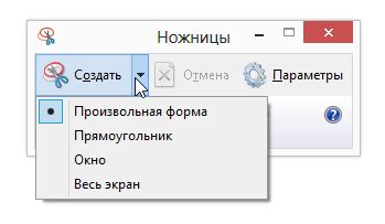 Поискать в специализированном приложении для захвата экрана