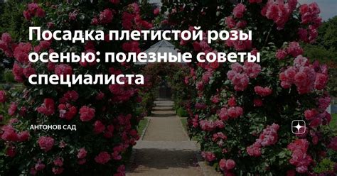 Поиск заветных вознаграждений: советы и рекомендации