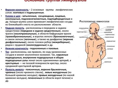 Поиск изменений: распознавание увеличенных лимфоузлов