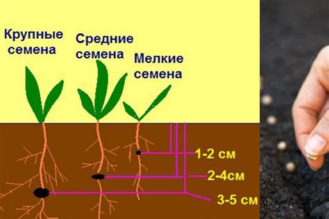 Поиск и добыча семян в деревнях и подземельях