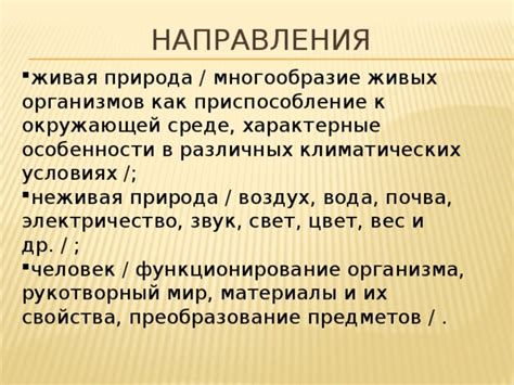 Поиск и разбор различных предметов в окружающей среде