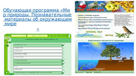 Поиск опоры и вдохновения в окружающем мире