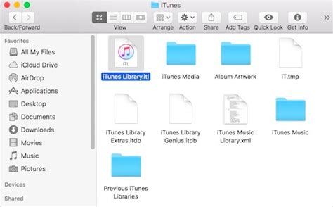 Поиск файлов iTunes Library.itl: основные пути и расположения