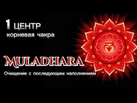 Показатели стимуляции первого энергетического центра у представительниц прекрасного пола