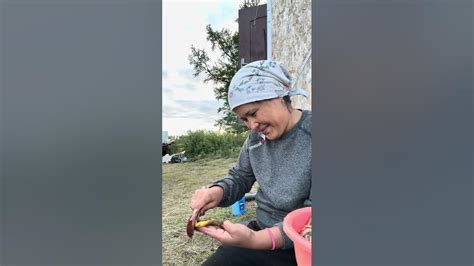 Полевые новости как источник новых идей