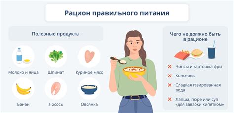 Полезные продукты и рацион для кошек.