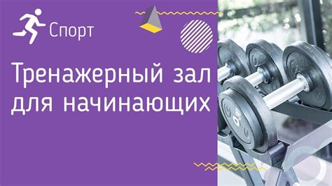 Полезные рекомендации по применению X с 2