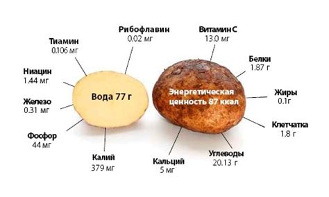 Полезные свойства ингаляции картофелем