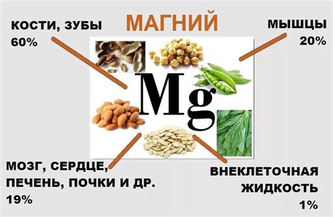 Полезные свойства магния в раннем возрасте для поддержания здоровья и развития детей