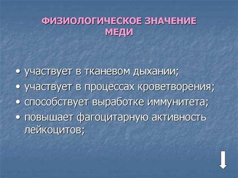 Полезные свойства растений на клумбе: преимущества природы для нашего здоровья