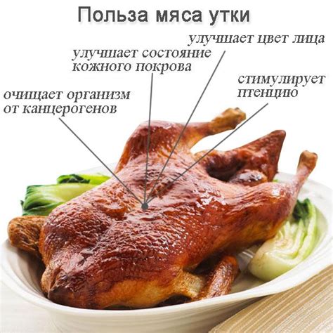 Полезные свойства утки и ее сочетание с определенными состояниями