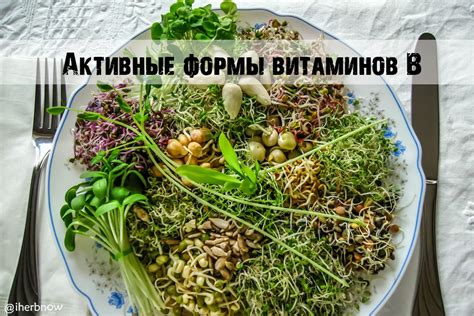 Полезные сочетания витаминов для иммунитета и защиты организма