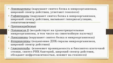 Полисахариды: широкий спектр углеводных накоплений в микроорганизмах