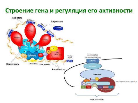 Положительная и отрицательная клемма прикуривателя: особенности и функциональность