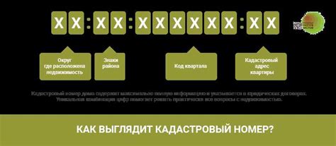 Получение информации о кадастровом номере через специализированные онлайн-платформы