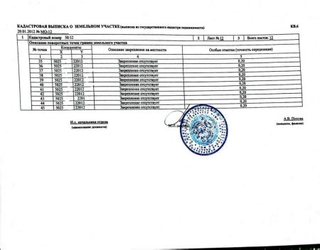 Получение информационного документа о земельном участке: подробности процесса