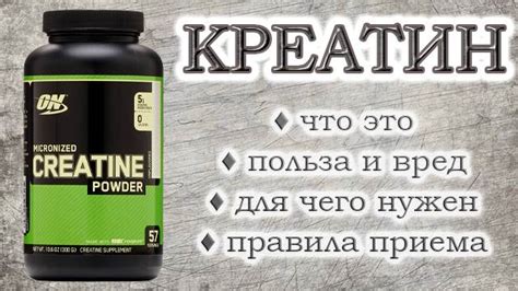Польза витамина креатина для мышечной работы