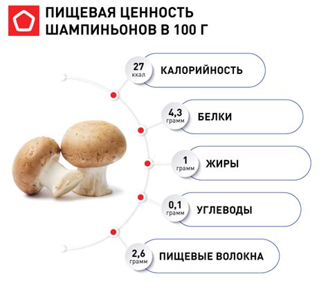 Польза грибов шампиньонов и методы их правильного выбора