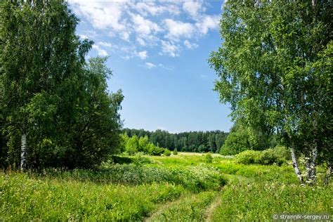 Поля и леса вблизи дорог: идеальные места для обнаружения потенциальных сокровищ