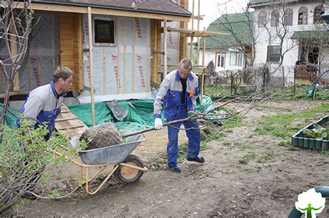 Помощь садовнику и уход за растениями: работа на даче или в садоводстве