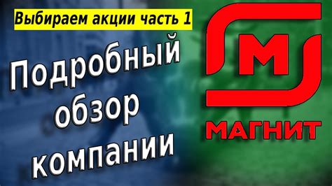 Понятие "страна регистрации" в контексте компании "Магнит": разбор и понимание