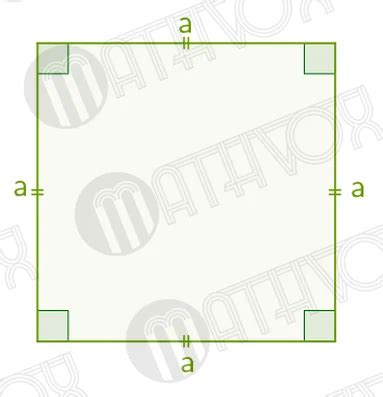 Понятие квадрата и его основные свойства
