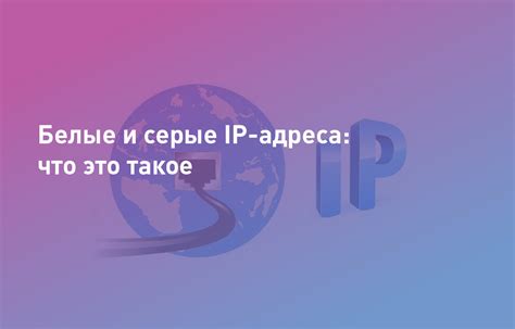 Понятие IP-адреса: что это такое и зачем оно нужно