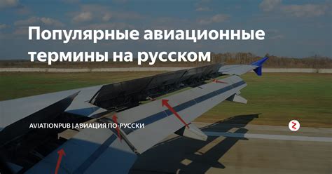 Популярные авиационные учебные заведения с курсами по аэростюардессы