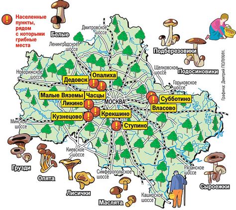 Популярные места для сбора популярной съедобной грибной культуры