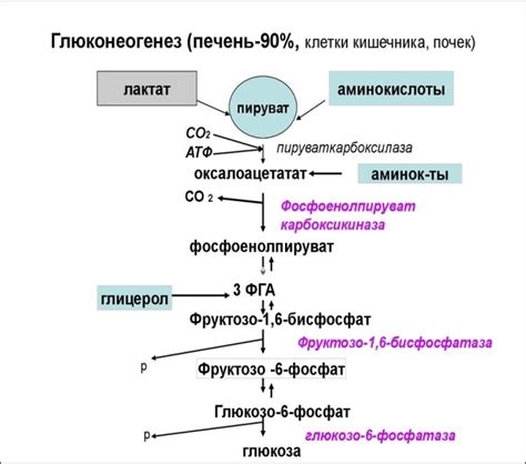 Поражения вследствие нарушения синтеза и накопления гликогена