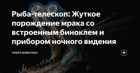 Порождение искаженного видения реальности